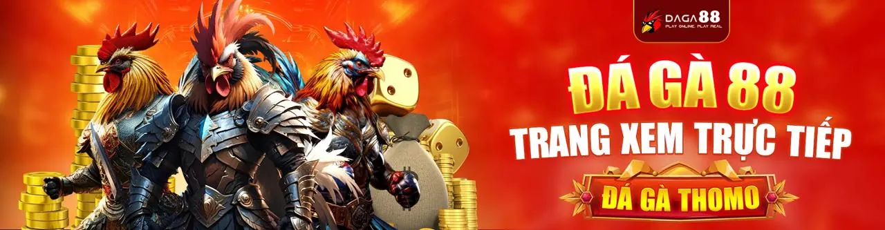 Đá gà trực tuyến LIXI88